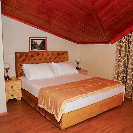 Arber Pensjonat Golem (Tirana)